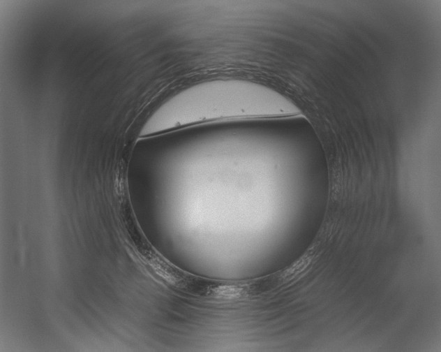 X0000054430176200507291001