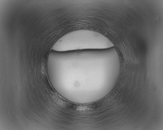 X0000054430177200507291001