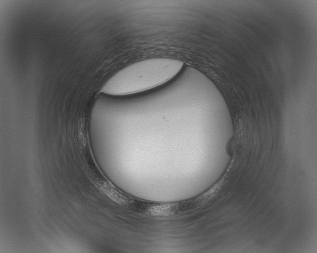 X0000054430178200507291001