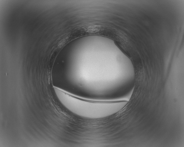 X0000054430180200507291001