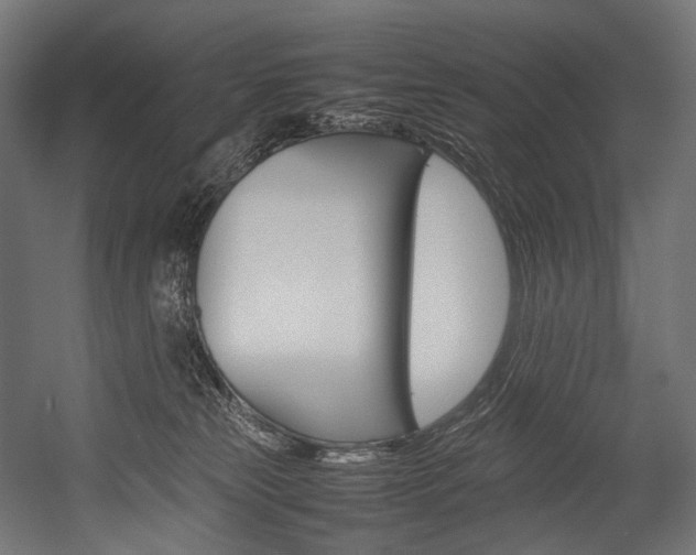 X0000054430181200507291001