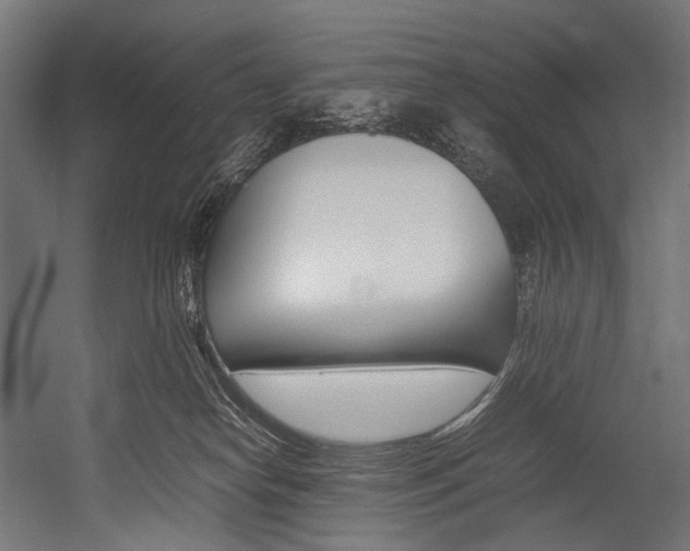 X0000054430182200507291001