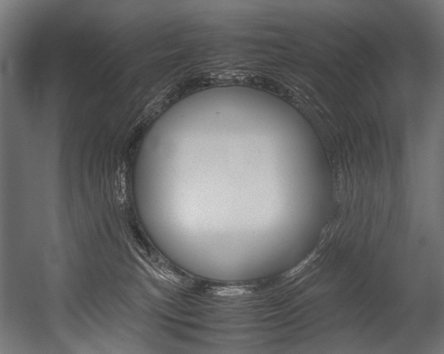 X0000054430183200507291001