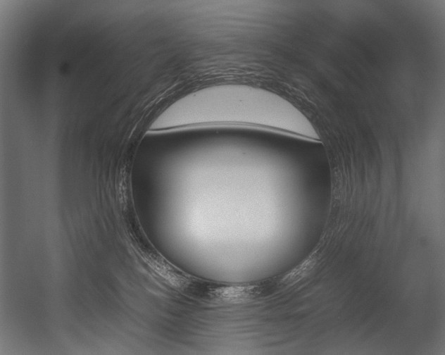 X0000054430184200507291001