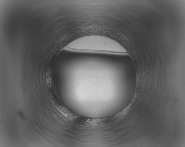 X0000054430186200507291001