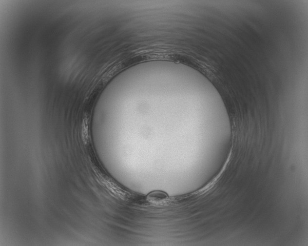 X0000054430190200507291001