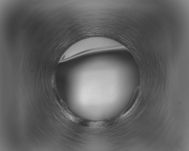 X0000054430192200507291001