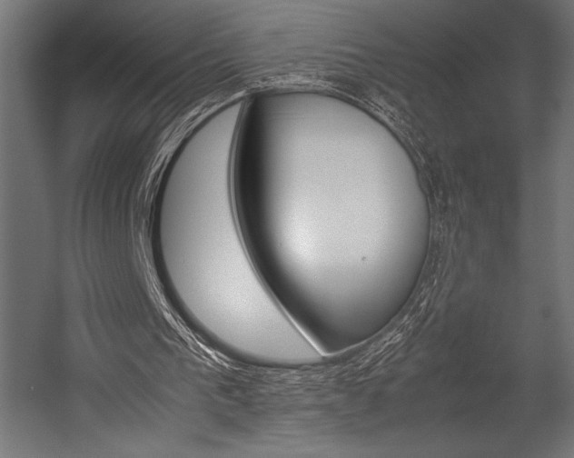 X0000054430193200507291001