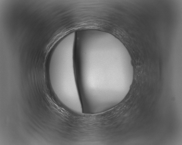 X0000054430194200507291001