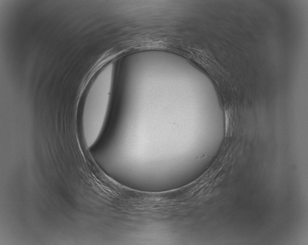 X0000054430195200507291001