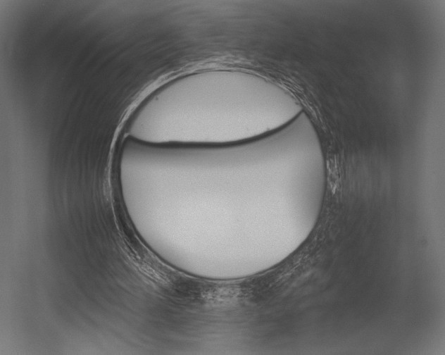 X0000054430196200507291001