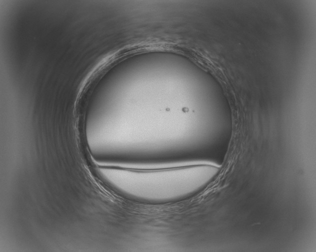 X0000054430197200507291001