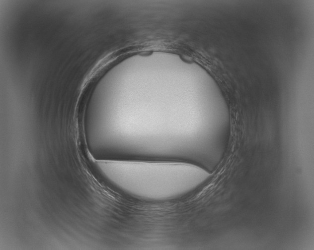 X0000054430198200507291001