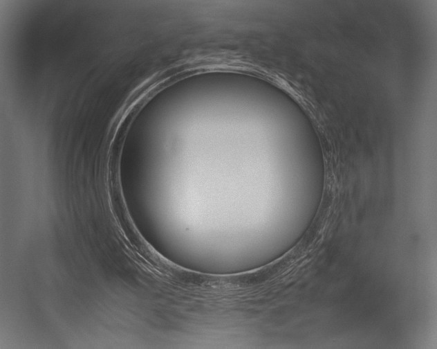 X0000054430199200507291001