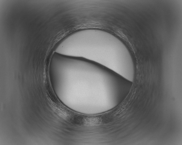 X0000054430202200507291000