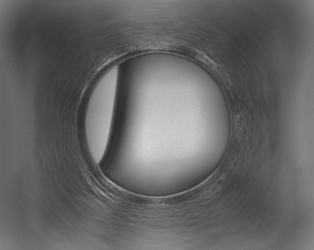 X0000054430203200507291000