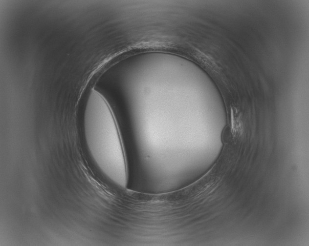 X0000054430204200507291000
