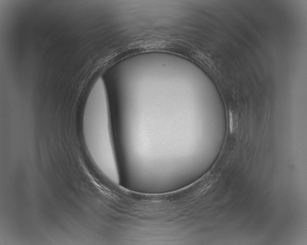 X0000054430205200507291000