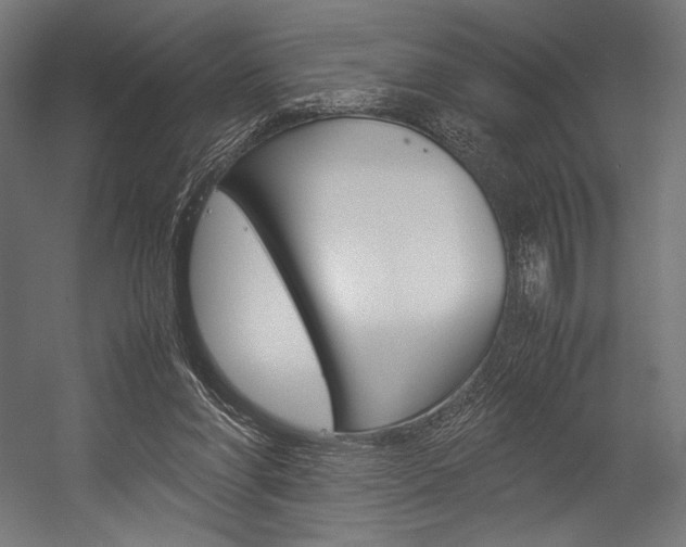 X0000054430206200507291000