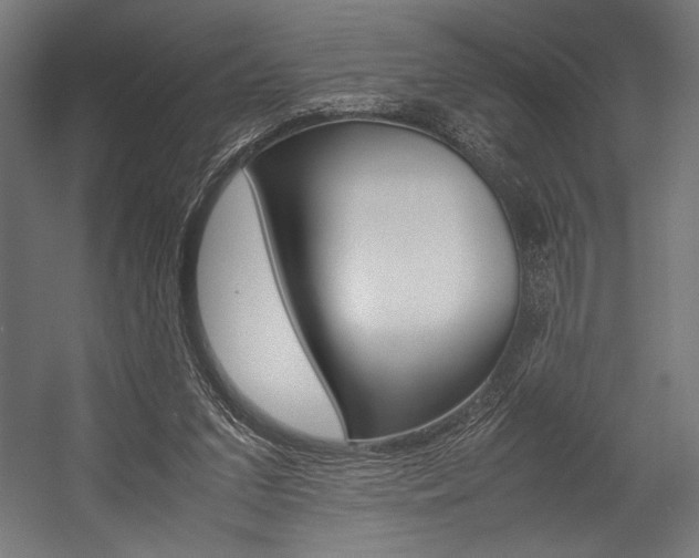 X0000054430207200507291000