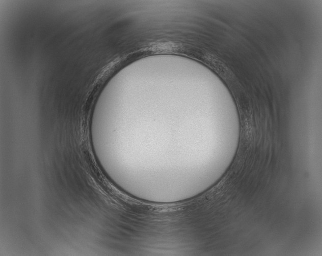 X0000054430208200507291000
