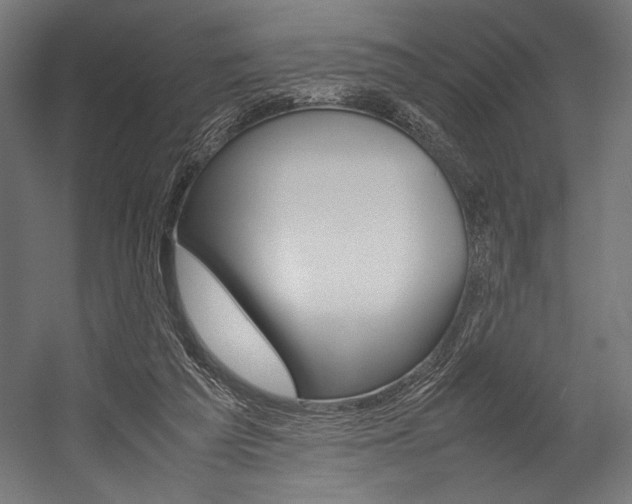 X0000054430209200507291000