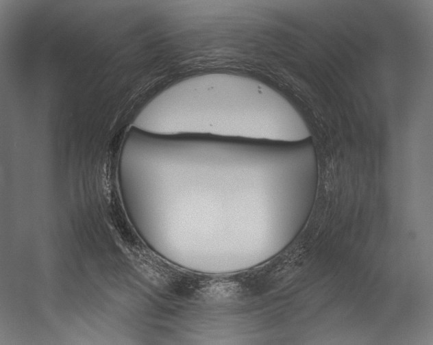 X0000054430210200507291000