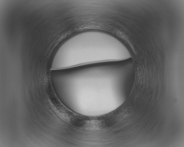 X0000054430212200507291000