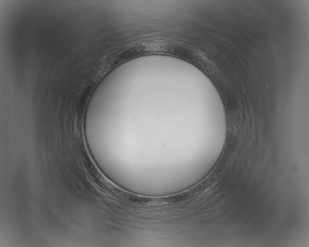 X0000054430213200507291000