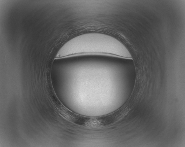 X0000054430217200507291000