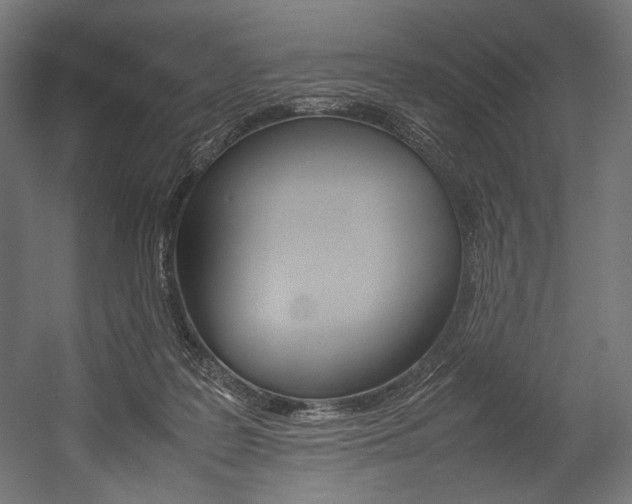 X0000054430219200507291000