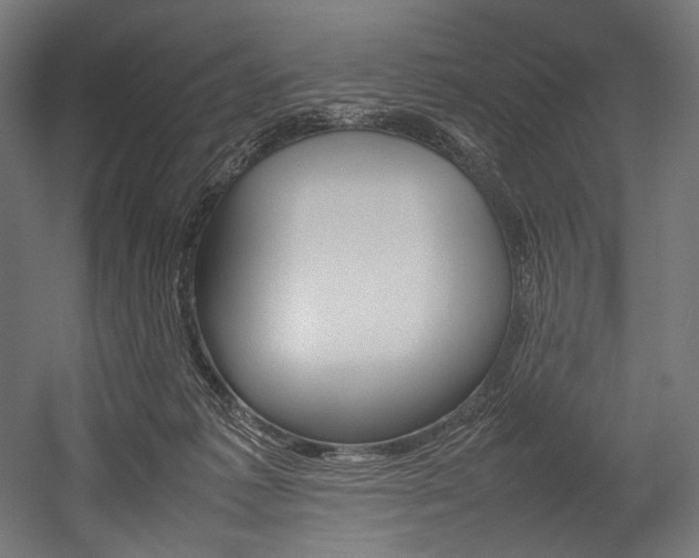 X0000054430221200507291000