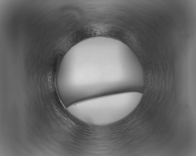 X0000054430222200507291000
