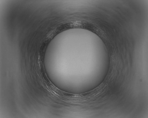 X0000054430223200507291000