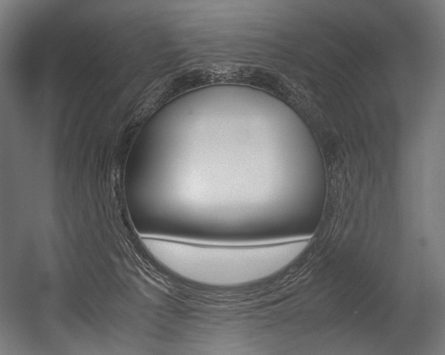 X0000054430225200507291000