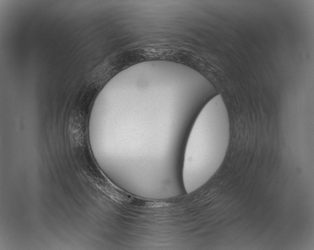 X0000054430226200507291000