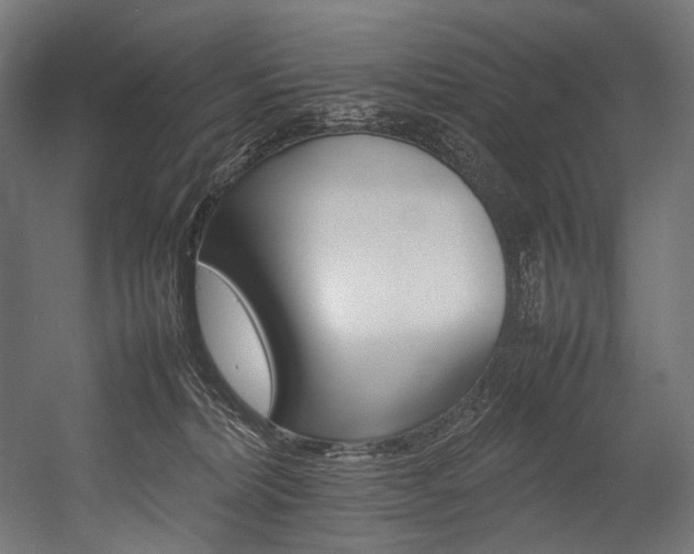X0000054430228200507291000
