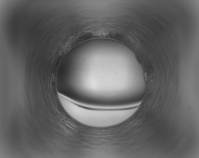 X0000054430229200507291000