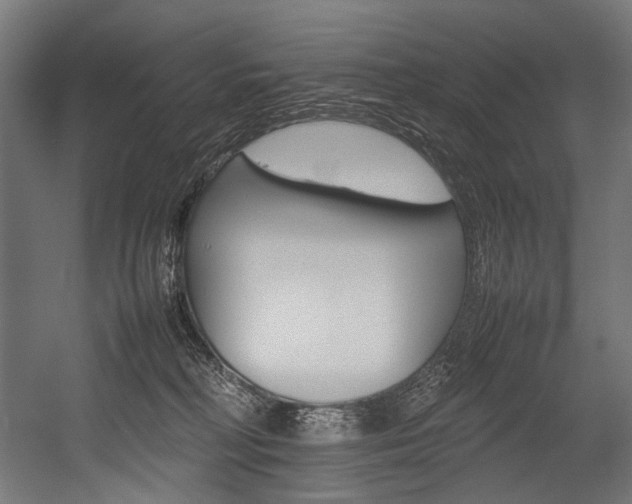 X0000054430230200507291000