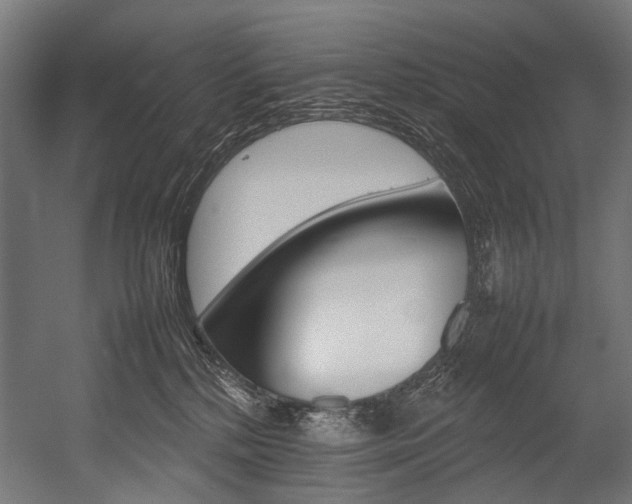 X0000054430232200507291000