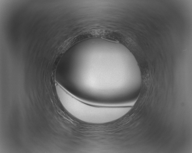 X0000054430233200507291000