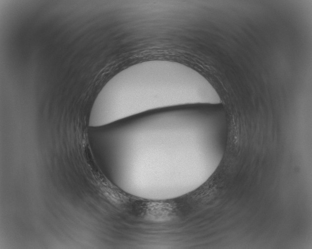 X0000054430234200507291000