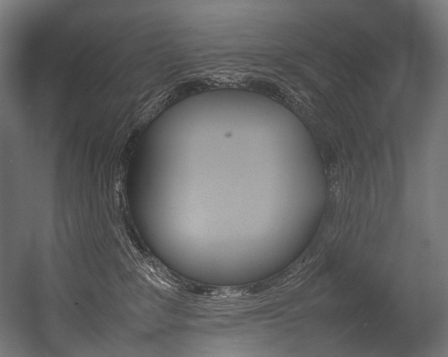 X0000054430235200507291000