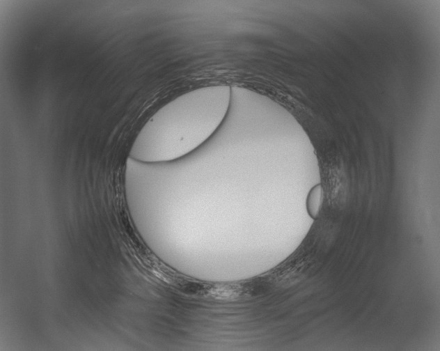 X0000054430236200507291000
