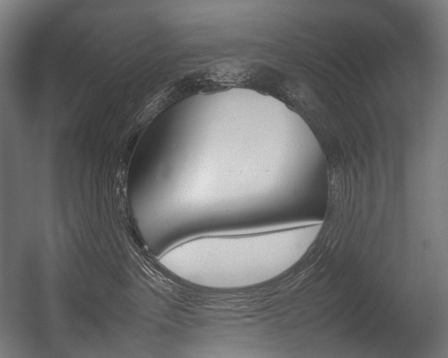 X0000054430237200507291000