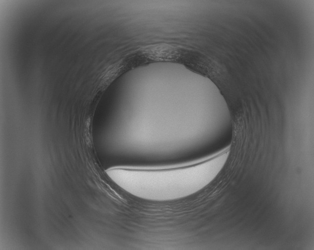 X0000054430239200507291000