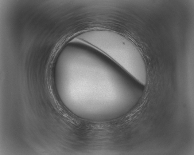 X0000054430241200507290959