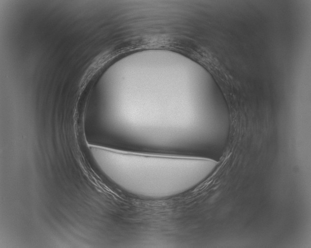 X0000054430242200507290959