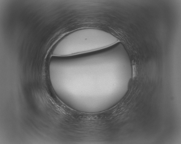 X0000054430243200507290959