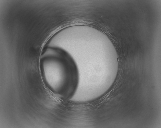 X0000054430244200507290959